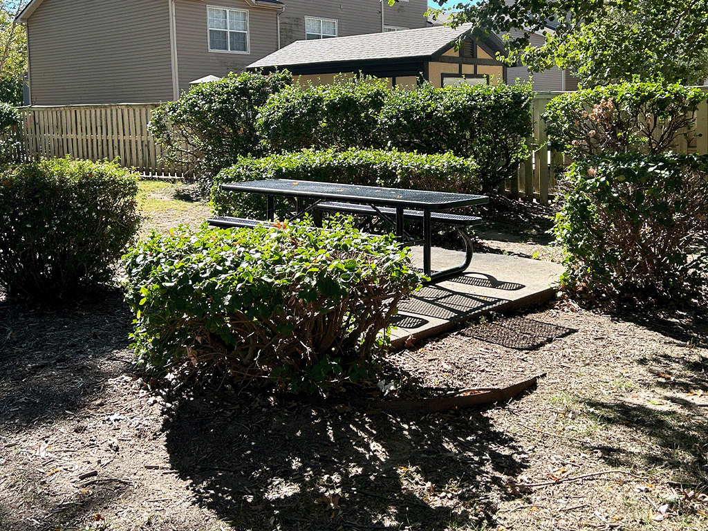 a picnic table in a park with bushes