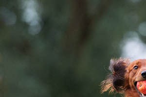 The Retro Apartments 2500 Fair Oaks Blvd Sacramento Ca Rentcafe