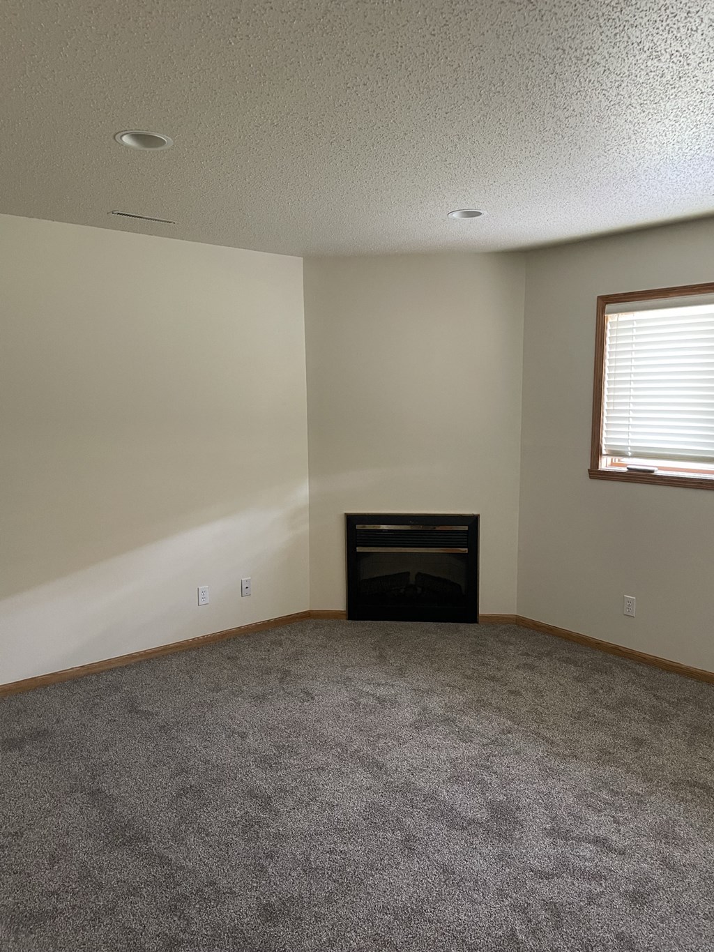 Living Area With Fireplace at Tustin Townhomes, Fargo, ND