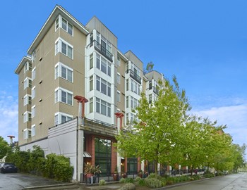 4751 12th Ave NE Studio-2 Beds Apartment for Rent - Photo Gallery 7