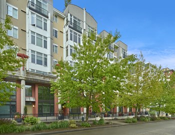 4751 12th Ave NE Studio-2 Beds Apartment for Rent - Photo Gallery 8