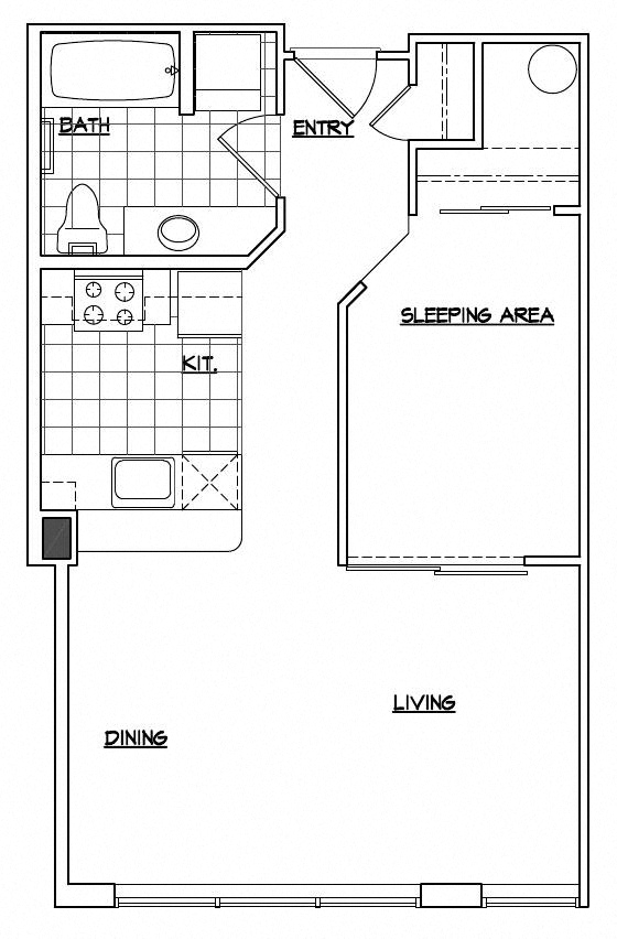 One Bedroom + Extra Storage + Walk-In Closet