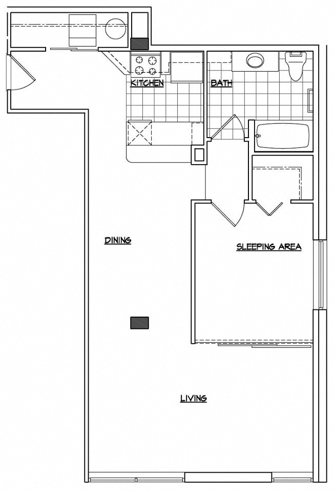 One Bedroom + Extra Storage + Walk-In Closet