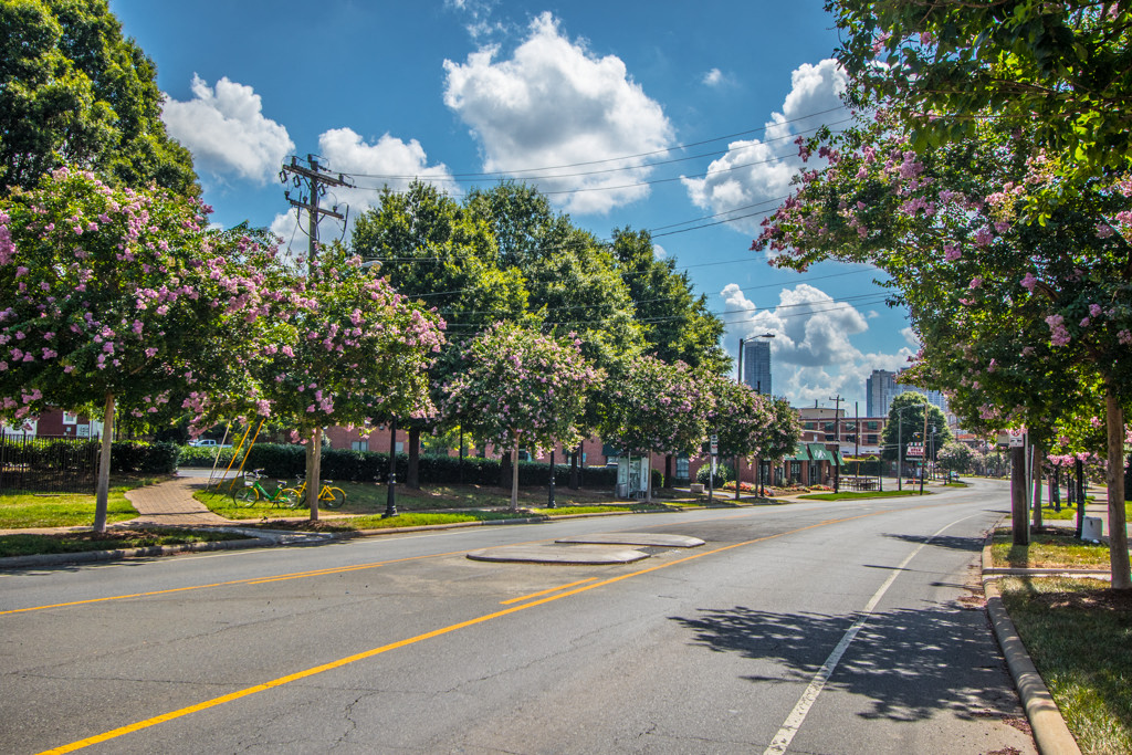 a street with trees and a city in the background