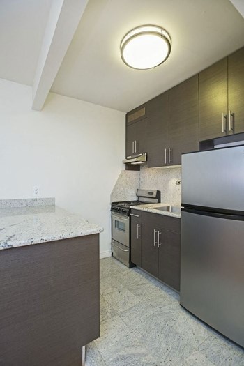 425 E 80TH STREET Studio-2 Beds Apartment, Duplex/Triplex, Upper East Side for Rent - Photo Gallery 2