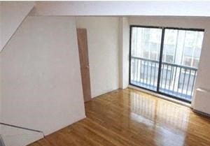 123 E 54TH ST Studio-3 Beds Apartment, Duplex/Triplex, Midtown East for Rent - Photo Gallery 4