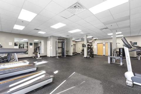 a gym with cardio equipment and weights on the floor