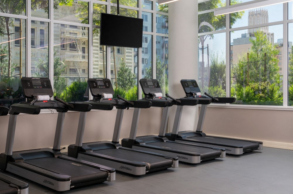 A row of treadmills are lined up in a gym with a large window in the background.