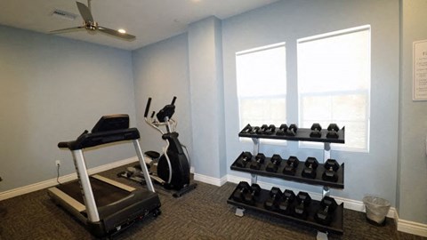 a gym with weights and a reformer