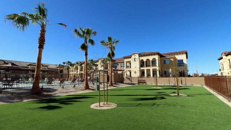 a yard with palm trees and apartments in the background