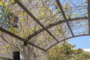 Expansive Courtyard