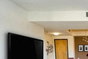 Wood Plank Floors with 9 foot Ceilings