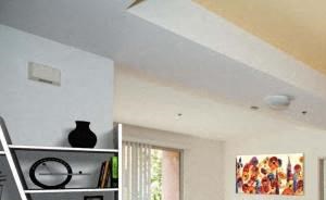 Wood Plank Floors with 9 foot Ceilings