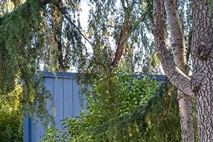 Exterior of Building with grass nearby l Forest Glenn Apartments - Photo Gallery 2