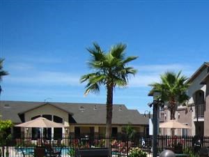 Pet Friendly Apartments Chico Ca Pet Friendly Apartments Chico Ca