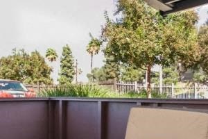 Relax on your patio Yard size patios