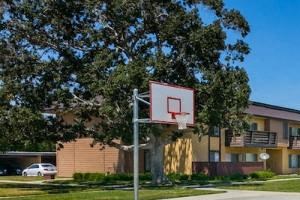 Shoot Hoops Basketball Court