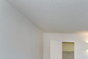 Walk- In Closet in Master Suite