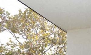 Huge Balcony Adjacent to Living Room