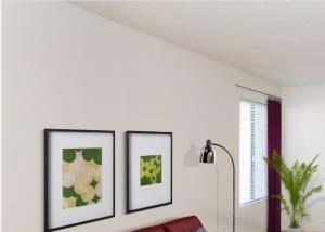 Spacious Living Room with Designer Carpet