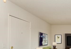 Huge Balcony Adjacent to Living Room
