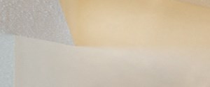 Bent Tree Apartment Homes | Apartments in Tuscaloosa, AL Bent Tree Apartment Homes | Apartments in Tuscaloosa, AL