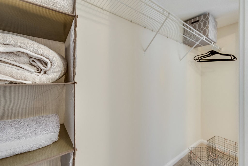 Forest Trail Apartment Homes Northport, AL, walk-in closet