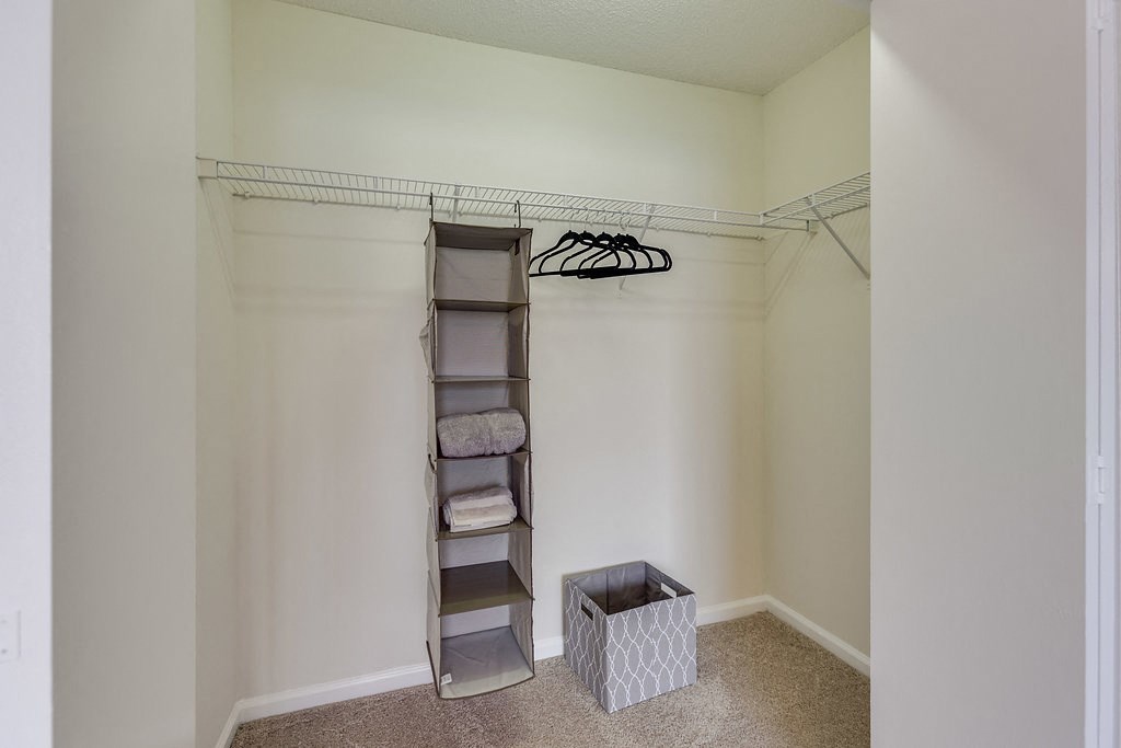 Forest Trail Apartment Homes Northport, AL, Walk-in Closet