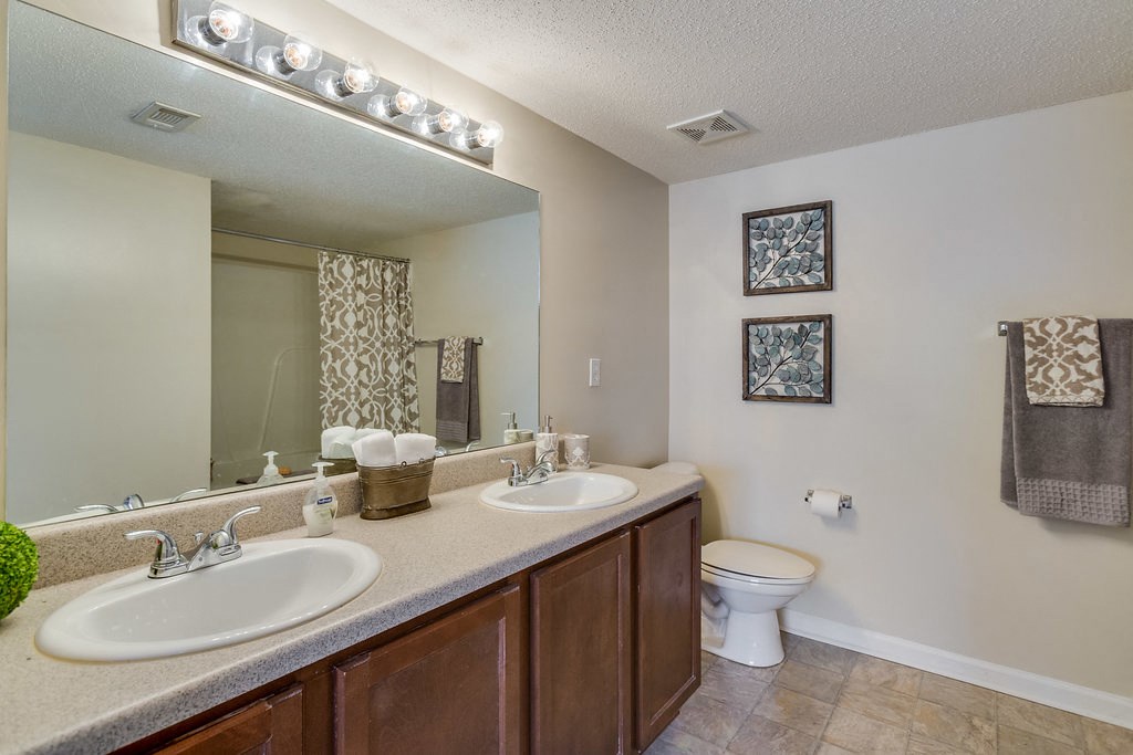 Forest Trail Apartment Homes Northport, AL, Master Bath with double sinks