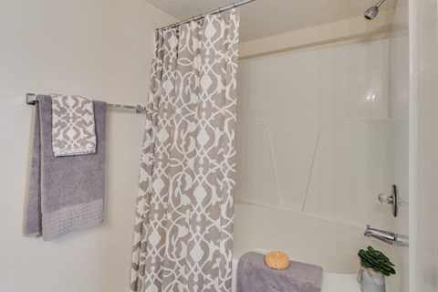 Forest Trail Apartment Homes Northport, AL, Bathroom