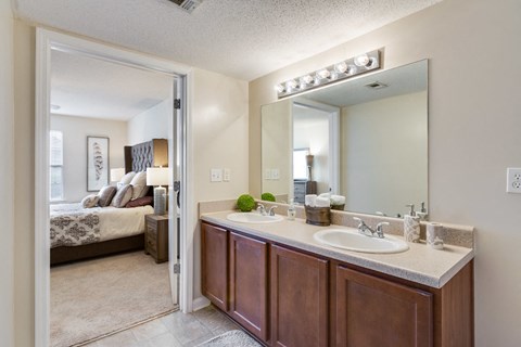 Forest Trail Apartment Homes Northport, AL, Master Bath with double sinks