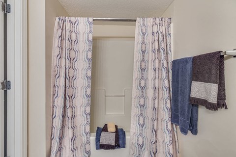 Forest Trail Apartment Homes Northport, AL, Bathroom