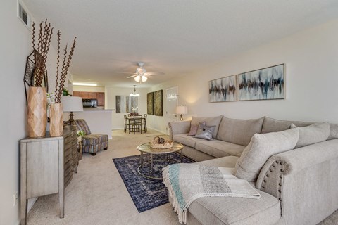 Forest Trail Apartment Homes Northport, AL, Living Room