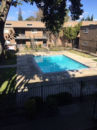 A small pool surrounded by a black fence and trees.
