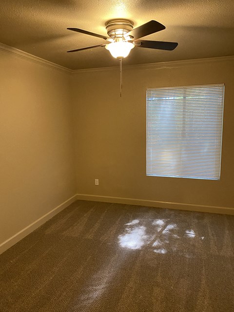Bedroom with window