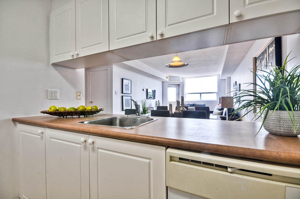 a kitchen with a sink and a counter top