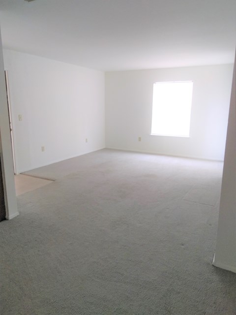 an empty room with carpet and a window