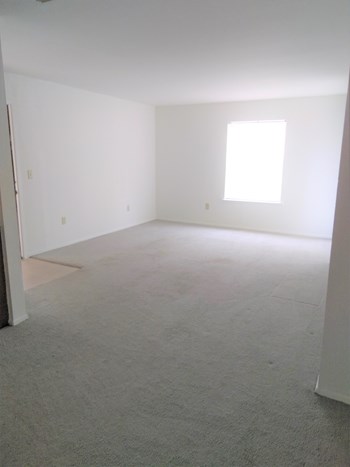 420 South Third Street 2 Beds Apartment for Rent - Photo Gallery 2