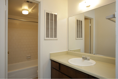 a bathroom with a sink and a mirror and a tub