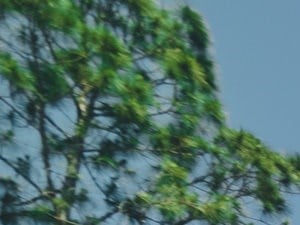 Monument Signage at The Sanctuary at 331, Santa Rosa Beach, FL
