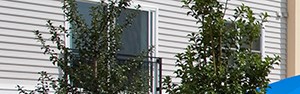 Studio Apartments In Rockville Md Studio Apartments In Rockville Md