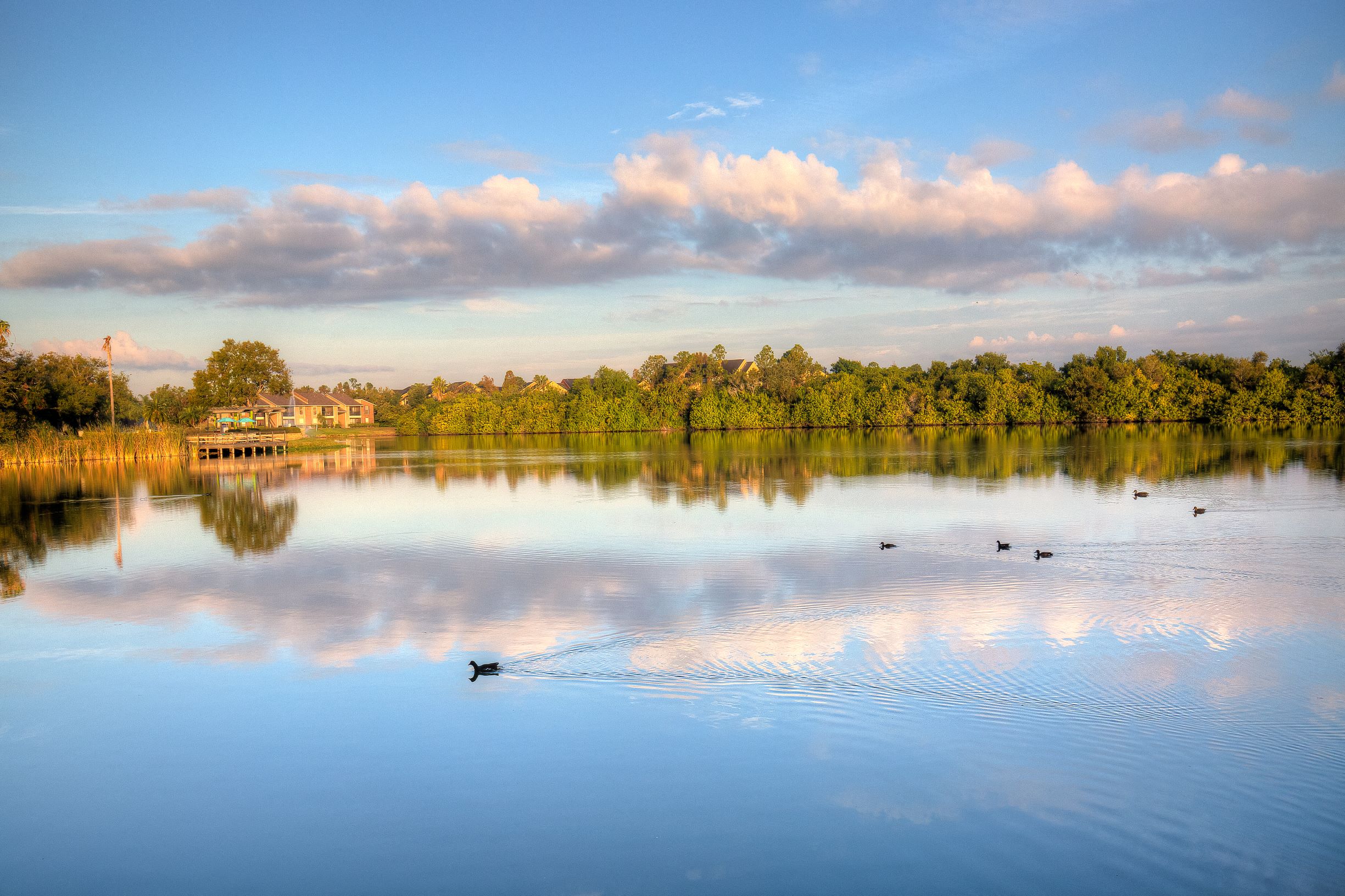 This lake front community is minutes from Tampa, local beaches, dining, and shopping.