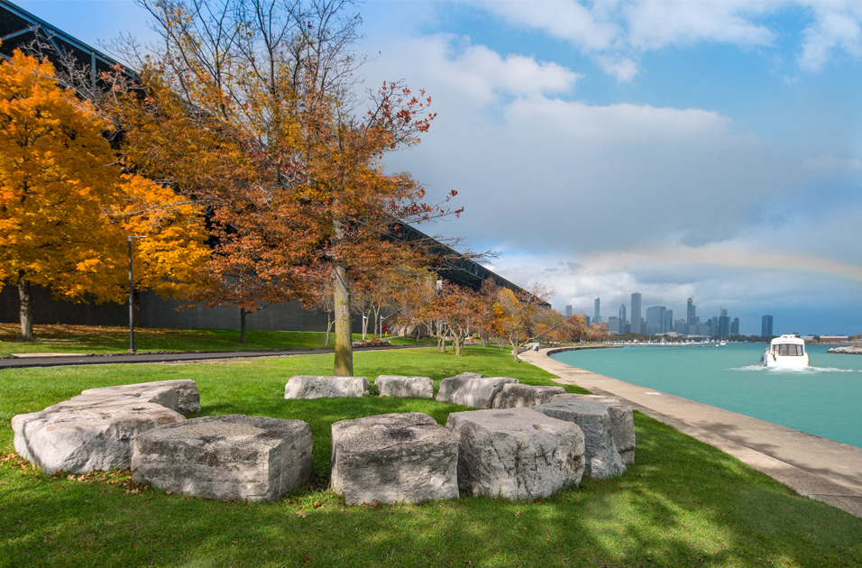 McCormick Place Chicago view of the lake with tree at Eden Commons, Illinois, 60616
