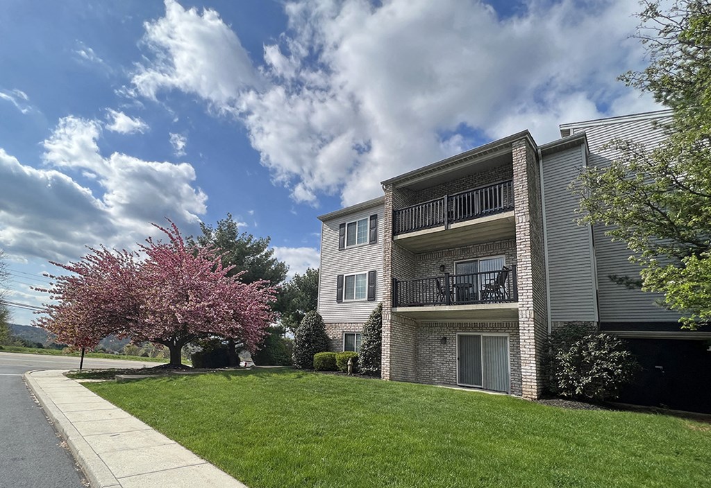 our apartments have a lush green lawn and a blossoming tree