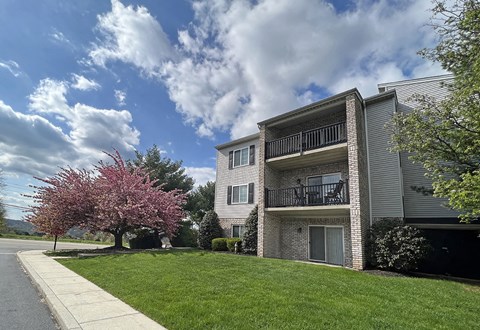 our apartments have a lush green lawn and a blossoming tree