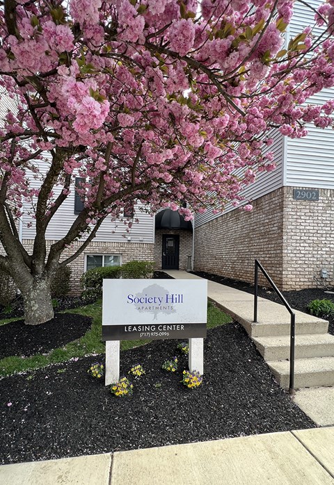 a sign in front of a tree with pink blossoms