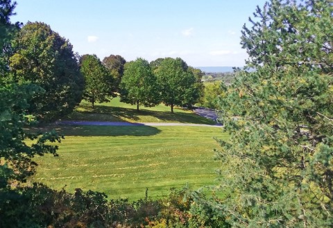 a view of a park with trees and a grass field