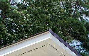 Luxury Apartments In Midtown Raleigh Nc Shellbrook