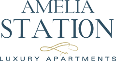 AmeliaStation_Logo_BLUE