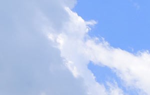 Woodland Creek Apartments | Apartments in Durham, NC